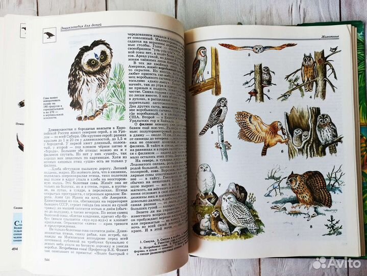 Энциклопедия для детей Аванта