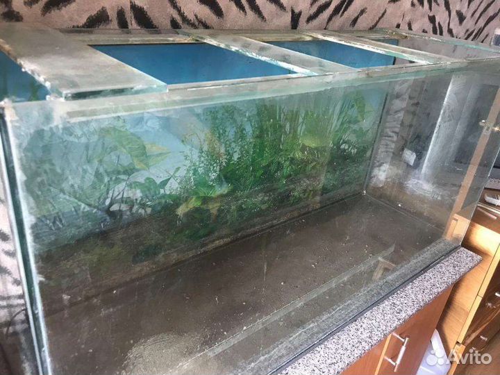 Аквариум 300л