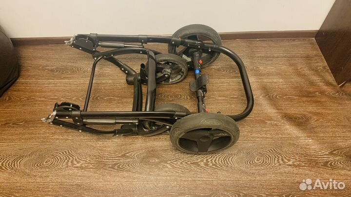 Коляска Wiejar Modo 3 в 1