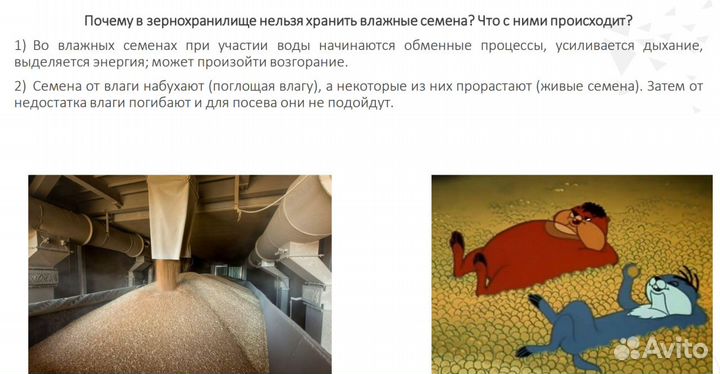 Репетитор по биологии егэ/огэ/впр