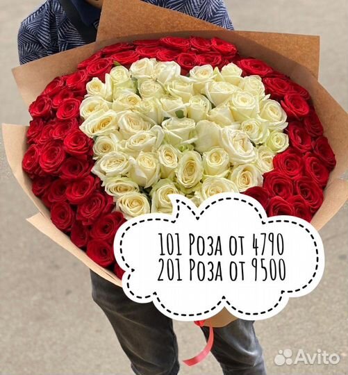 101 Роза Цветы Пионы
