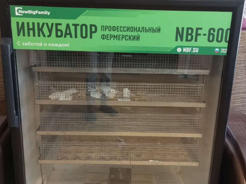 Инкубатор NBF600