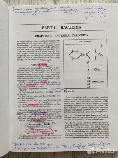 Usmle Step 1 Клиническая микробиология. Издание 7