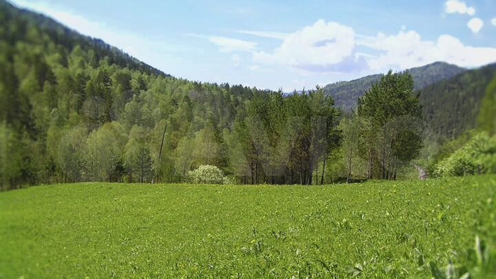 Участок 10,3 га (СНТ, ДНП)