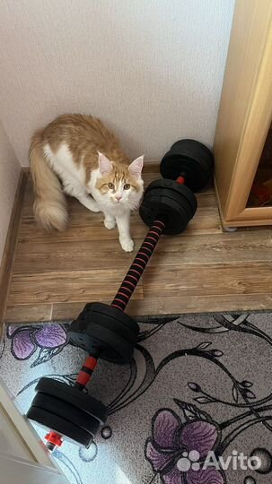 Гантели со штангой 19кг