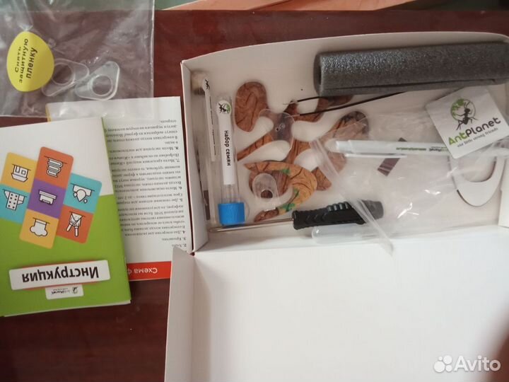 Формикарий для муравьев