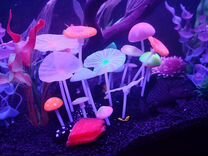 24 06 04. 24 06 04. 24 06 04. 24 06 04. 24 06 04.