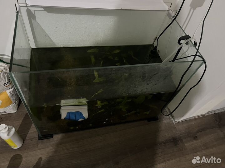 Аквариум