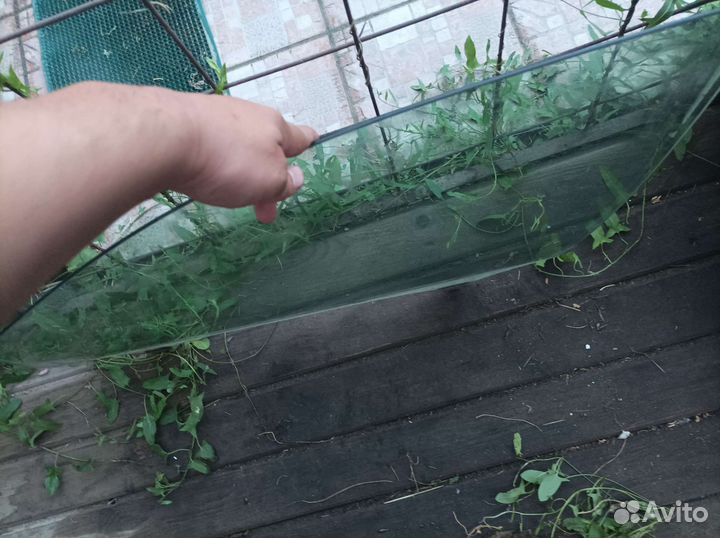 Водительское стекло