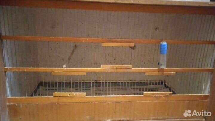 Клетка для разлета птиц