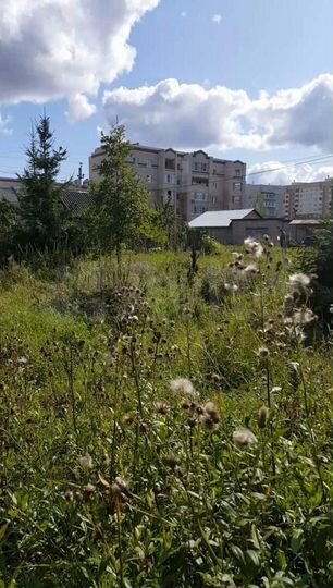 Участок 10 сот. (ИЖС)