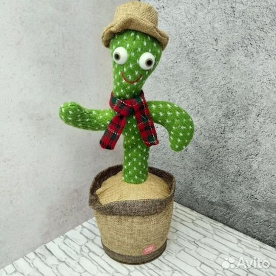 Танцующий кактус