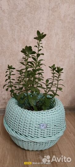 Кашпо из ротанга 10 литров