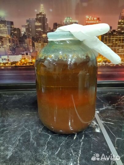 Индийский морской рис, чайный,молочный,винный гриб