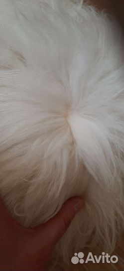 Шапка нат.мех новая