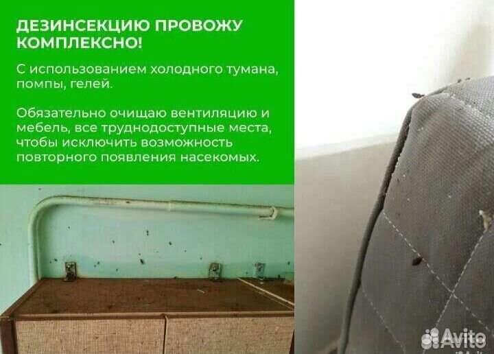 Уничтожение клопов мышей блох тараканов запаха