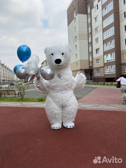 Медведь поздравление медведя,Панды кингконг