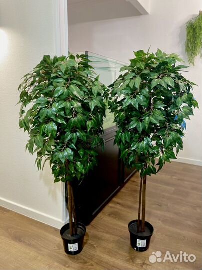 Искусственные деревья / Озеленение под ключ