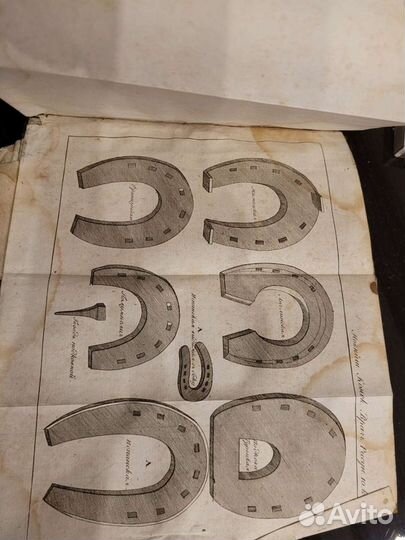 Редкая книга 1820гв Конский врач