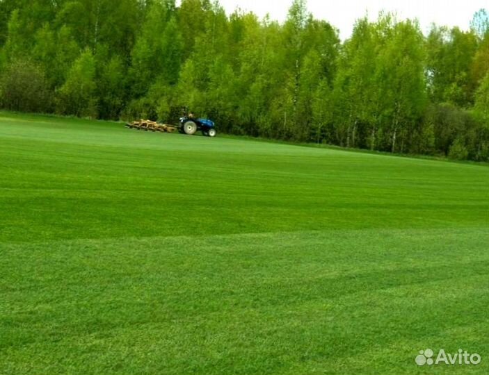 Рулонный газон