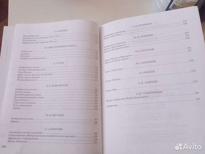 Сборник для написания сочинений по литературе