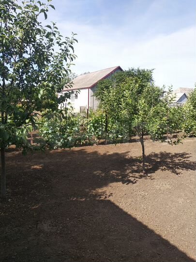 Участок 14 сот. (ИЖС)