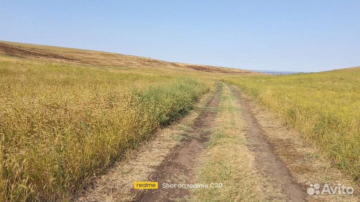 Сена и солома