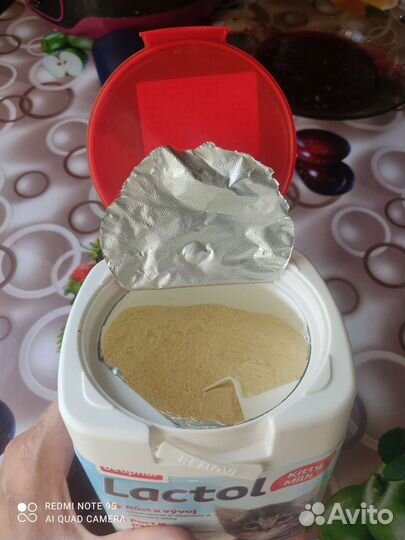 Молочная смесь для котят