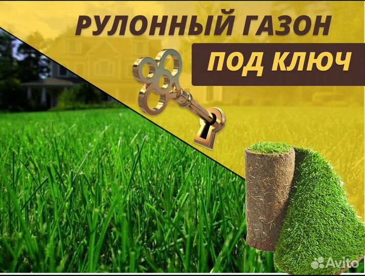 Рулонный газон от производителя спортивный