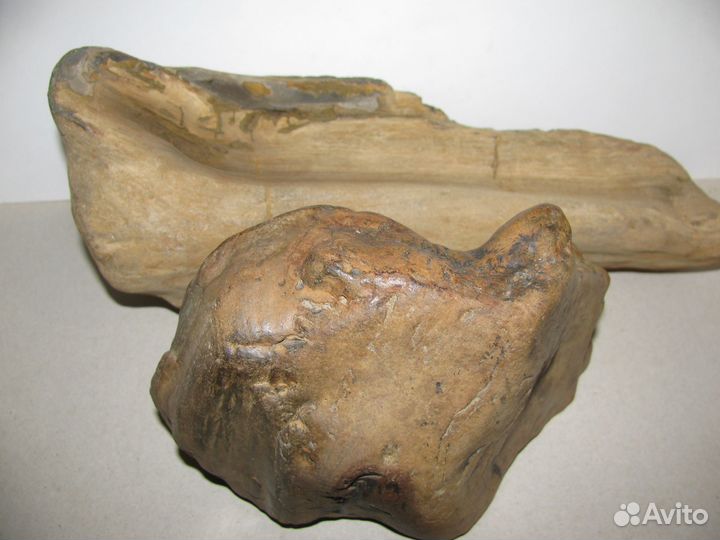 Окаменелое дерево (в коллекцию)