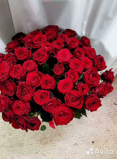 Букет роз. Розы 51 шт