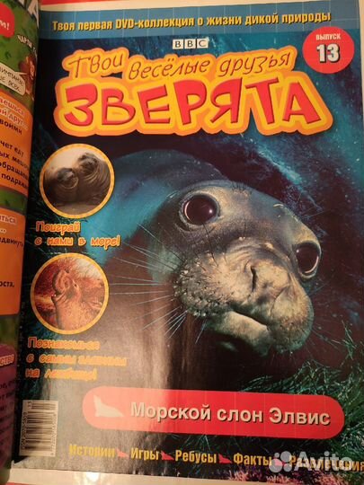 Твои веселые друзья зверята