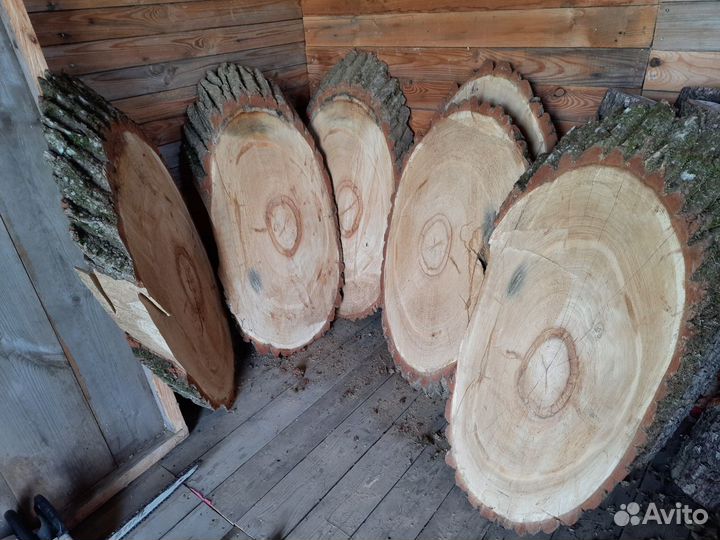 Поперечный спил дуба