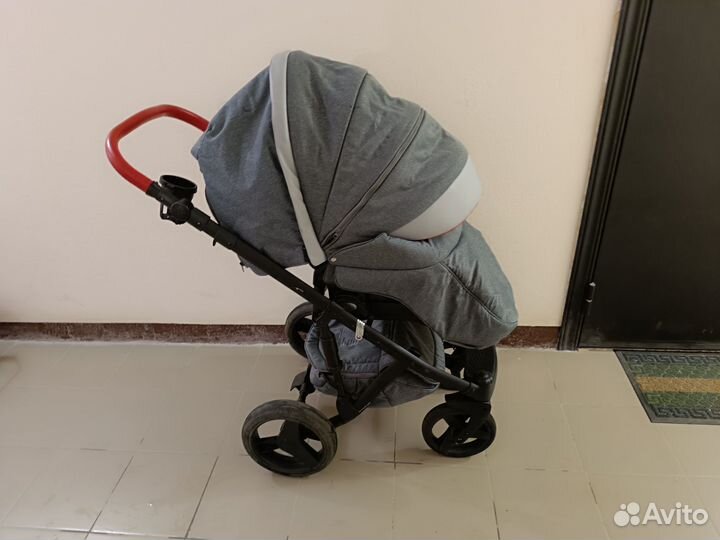 Коляска 2 в 1 adamex Barletta