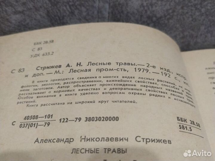 Лесные травы. А. Стрижев. 1979 год