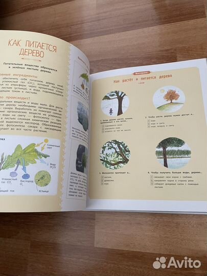 Книга деревья