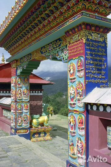 Сканирование фото и плёнок. Оцифровка видео/аудио