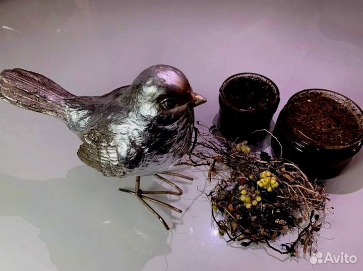 Мед волшебный для него