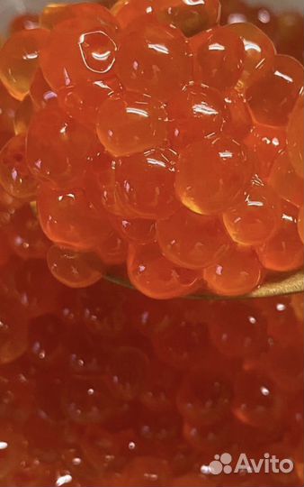 Икра кеты 2023