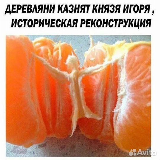 Репетитор по истории и обществознанию