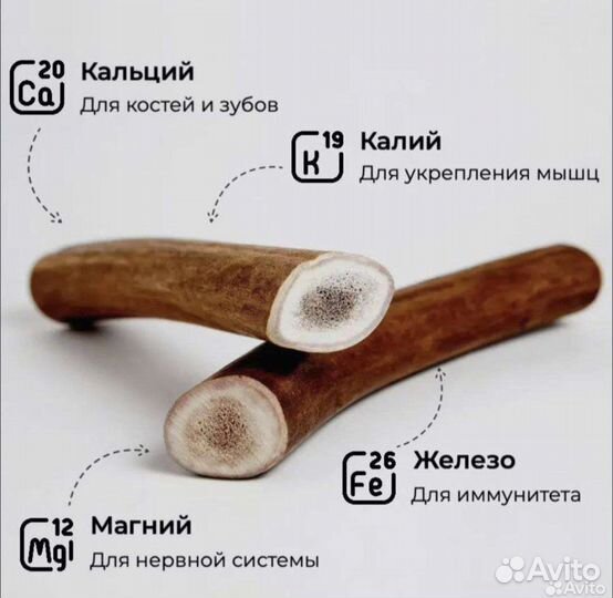 Лакомство для собак (рога оленя, рога лося)