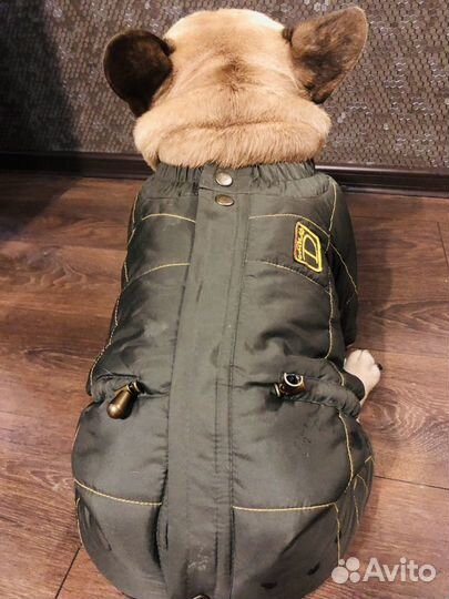 Утеплённый комбинезон