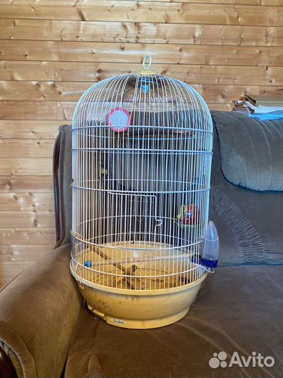 Большая клетка для птиц