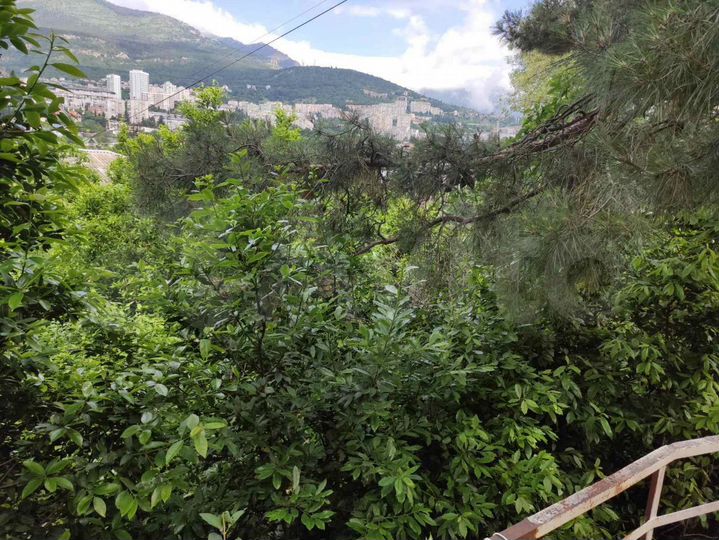 Участок 2,5 сот. (ИЖС)