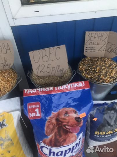 Корма для животных