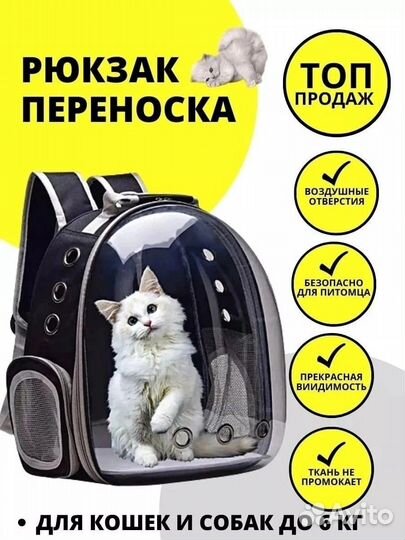 Переноска рюкзак для кошек и собак