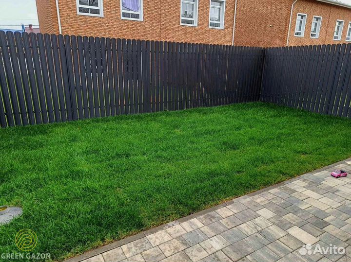 Рулонный газон в наличии под ключ