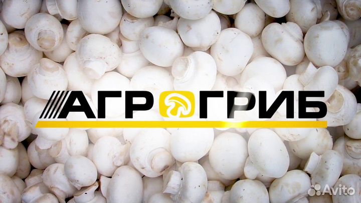 Разнорабочий