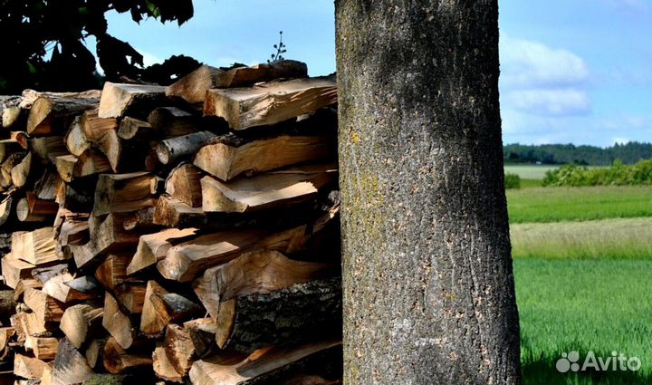 Дрова сухие