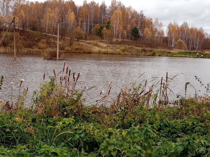 Участок 25 сот. (ИЖС)